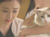 復讐のカルテット 4話の動画