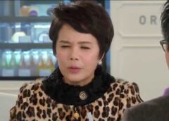 不屈の婿 40話の動画