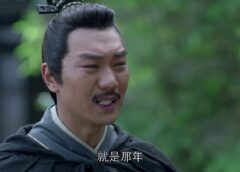 琅琊榜（ろうやぼう） 40話の動画