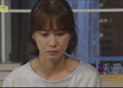レディの品格 42話の動画