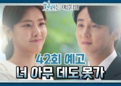 ヒョンジェは美しい 42話の動画