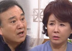 愛はぽろぽろ 43話の動画