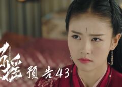 招揺 43話の動画