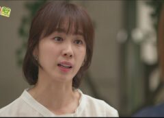 レディの品格 45話の動画
