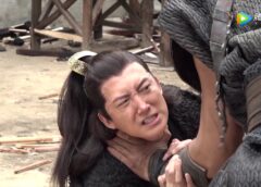 慶余年 46話（最終回）の動画