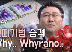 いとしのソヨン 47話の動画