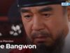 太宗（テジョン）イ･バンウォン 47話の動画