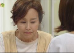 レディの品格 49話の動画