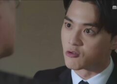 恋する泥棒 49話の動画