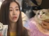 復讐のカルテット 5話の動画