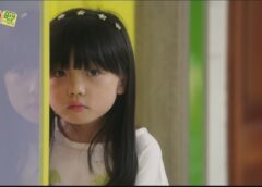 レディの品格 51話の動画