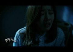 人形の家 52話の動画