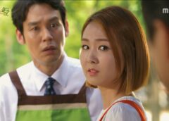 レディの品格 61話の動画