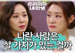 ブラボー私の人生 67話の動画