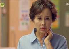 レディの品格 68話の動画