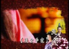 美人心計 7話の動画