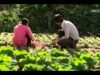 宮 7話 動画