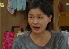 レディの品格 74話の動画