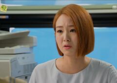 レディの品格 76話の動画