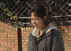 前世の敵 8話の動画