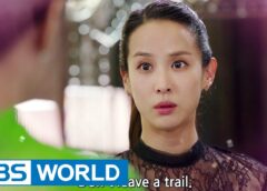 完璧な妻 8話 動画