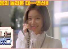 彼女はキレイだった 8話の動画