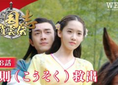三国志～趙雲伝～ 8話の動画
