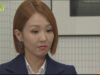 レディの品格 8話の動画