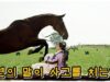 馬医 8話の動画