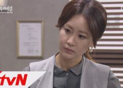 家族の秘密 88話の動画