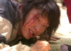 一枝梅～イルジメ 9話の動画