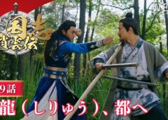 三国志～趙雲伝～ 9話の動画