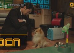 パンドラ 小さな神の子供たち 9話の動画