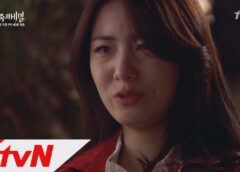 家族の秘密 91話の動画