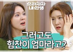 ブラボー私の人生 91話の動画