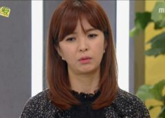 レディの品格 93話の動画