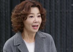 左利きの妻 94話の動画
