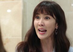 左利きの妻 95話の動画
