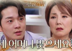 危険な約束 98話の動画