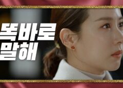 99億の女 22話 動画