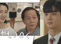 私のIDはカンナム美人の10話 動画
